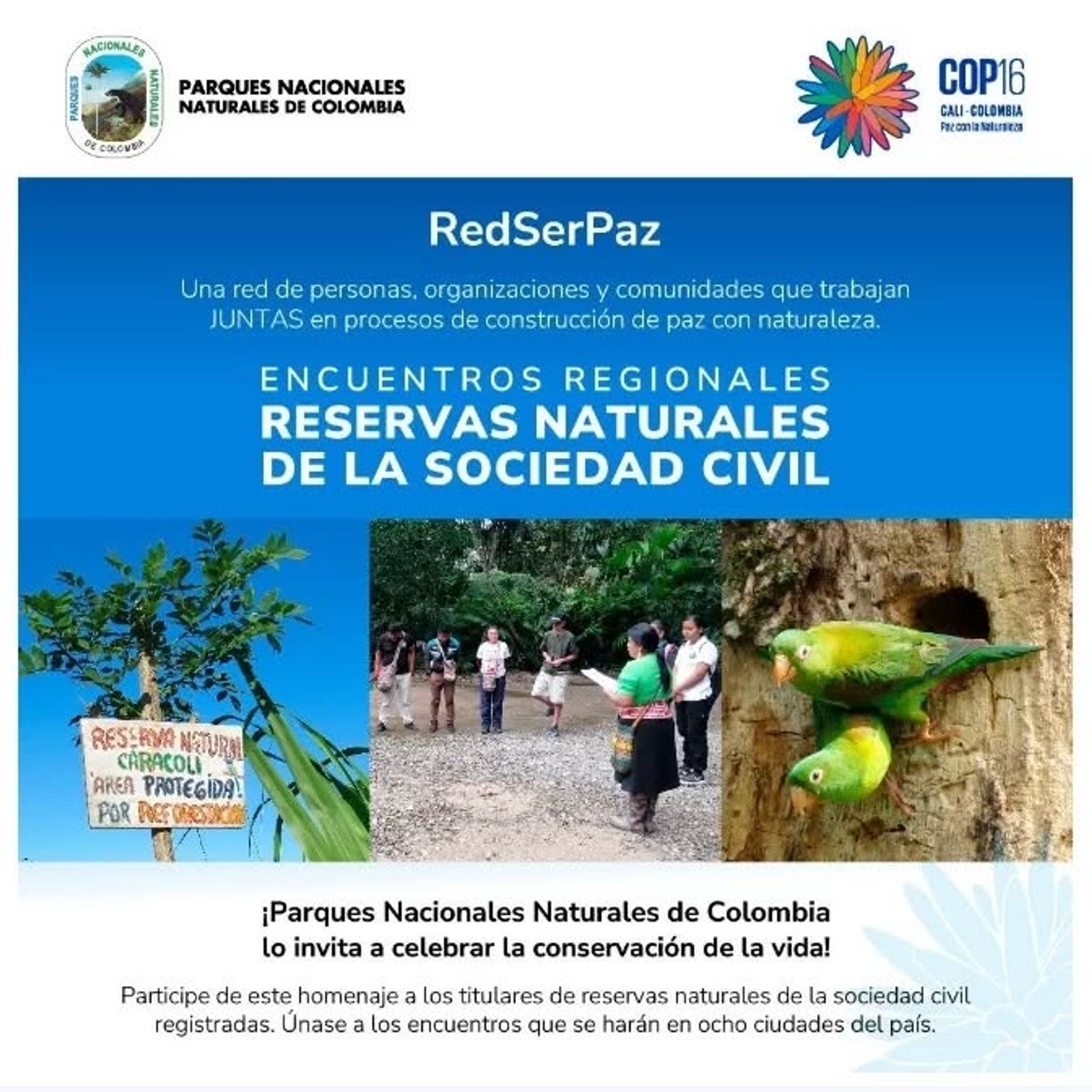 REDSERPAZ